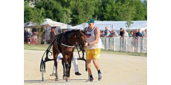 Jokic aime les courses de chevaux